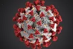 Coronavirus sphere with red spikes