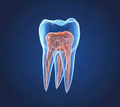 Research Information