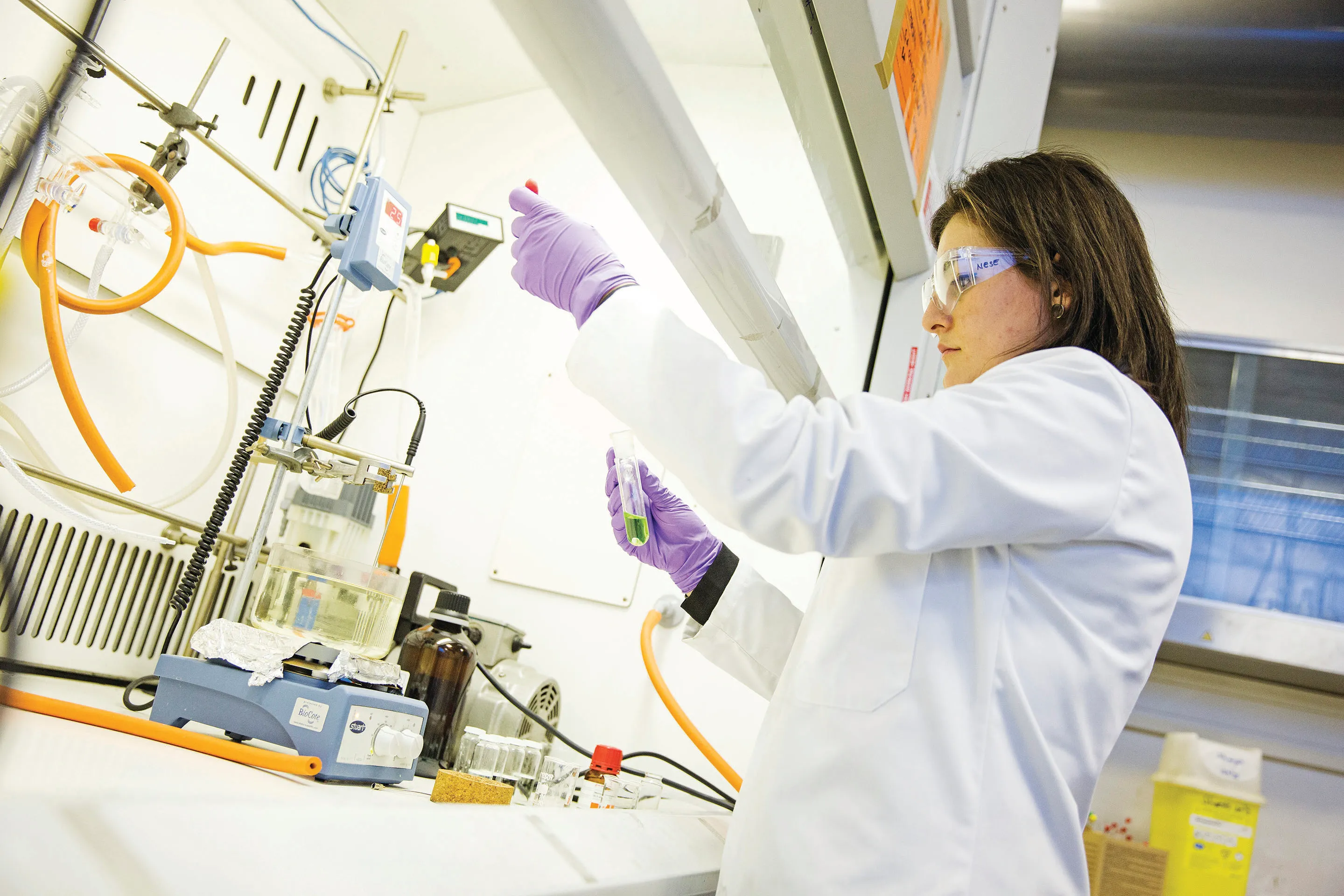 Oral Immunobiology and Regenerative Medicine