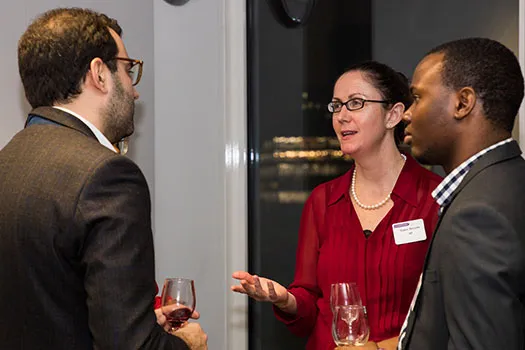 Postgraduate Law Professional Mentoring