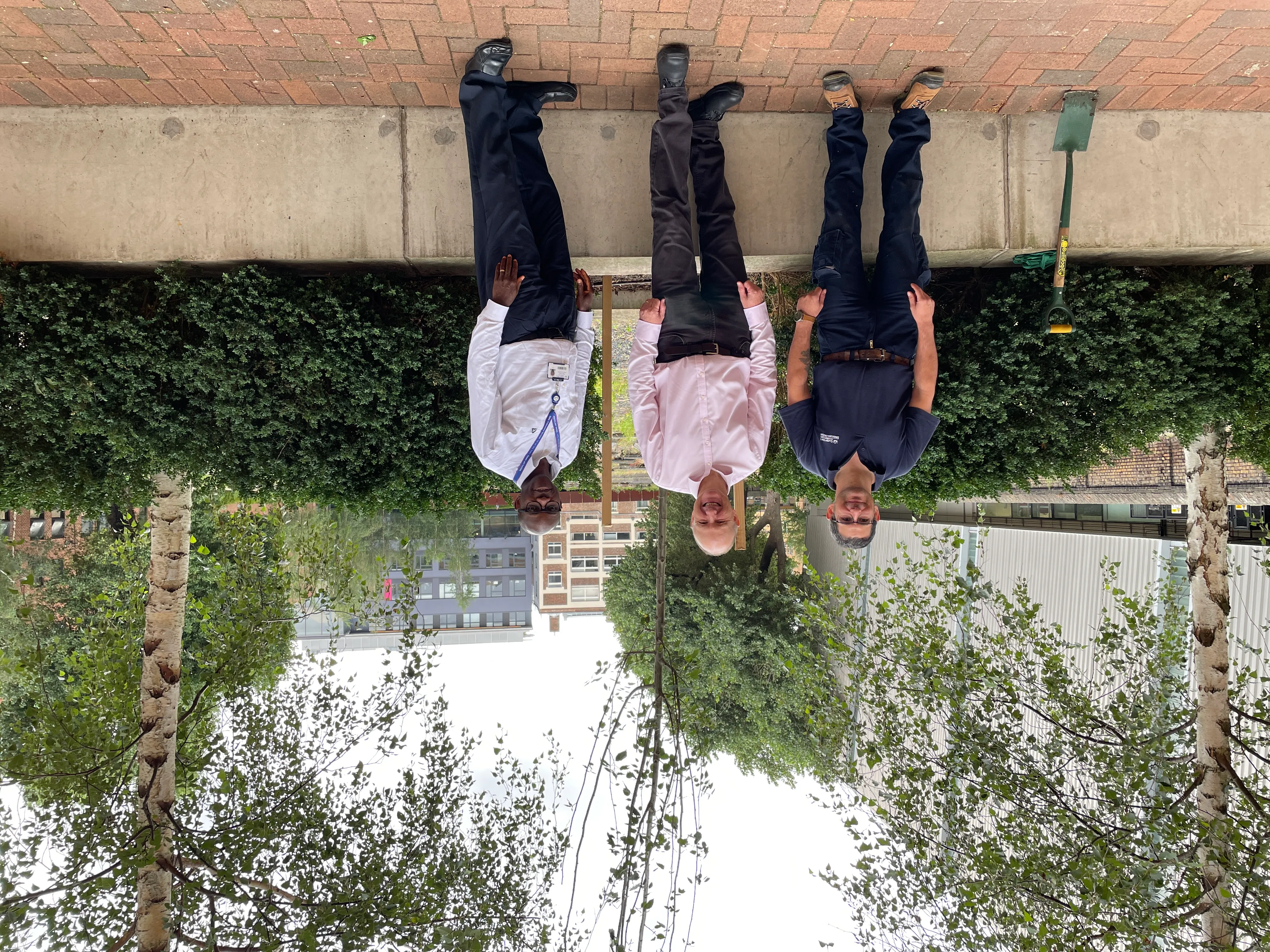 Three men stand in front of a newly planted tree