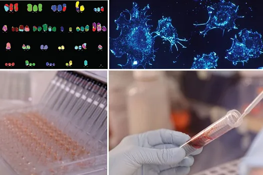 Research with impact