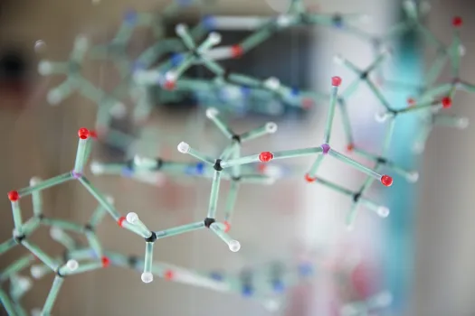 Study at the School of Biological and Behavioural Sciences