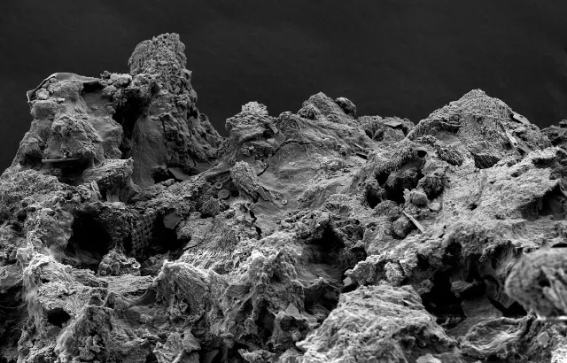 Marine sediments that cover the seafloor are estimated to contain an abundance of life. Image credit: Jefferey Marlow, Boston University