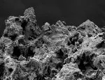 Marine sediments that cover the seafloor are estimated to contain an abundance of life. Image credit: Jefferey Marlow, Boston University