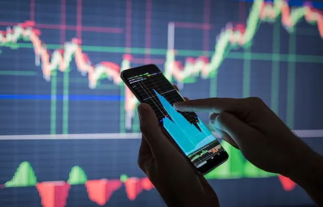 A person checking financial data on a smartphone