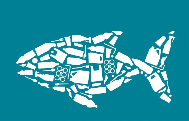 Illustration of a fish