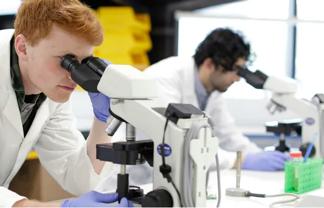 Two students look through microscopes 