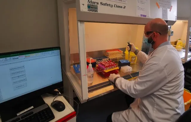 Scientist processing samples in the Queen Mary COVID-19 testing lab