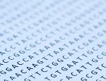 A snapshot of genetic code