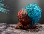 T cell and B-cell immune system fighting viruses