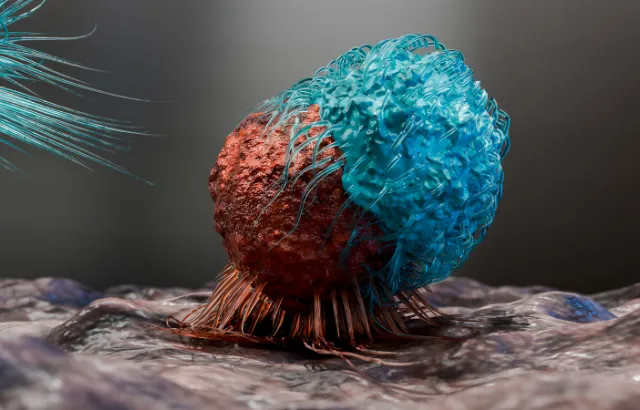 T cell and B-cell immune system fighting viruses
