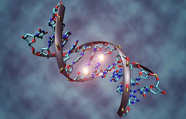 Epigenetics. Credit: Christoph Bock