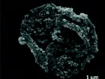 ‘Magnetically responsive’ microscopic drug carrier
