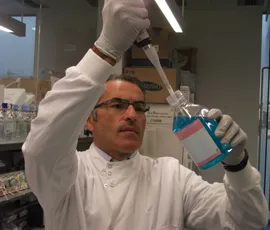 Professor Marco Falasca