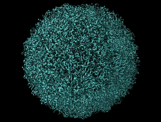 Model of a foot and mouth disease virus capsid. Credit: theasis/ iStock.com