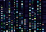 Pinpointing rare disease mutations. Credit: Tetiana Lazunova/ iStock.com