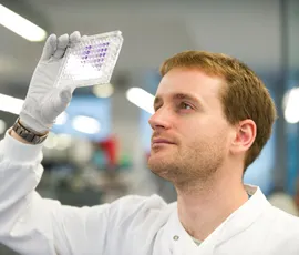 Dr Adrian Biddle 