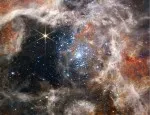 A massive cluster of stars in the Tarantula Nebula - credit NASA