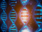 Study in twins finds our sensitivity is partly in our genes. Credit: libre de droit/iStock.com