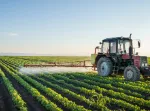 Using medicine-based approaches to protect pollinators. Credit: fotokostic/iStock.com