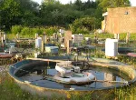 Experimental ponds used in the study