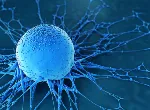 Human cancer cell. Credit:Luismmolina/iStock.com