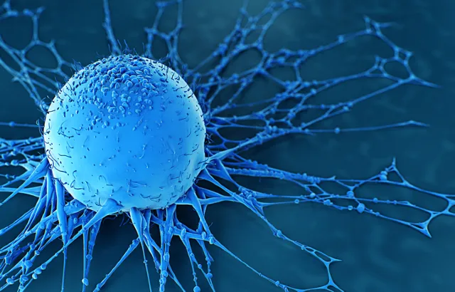 Human cancer cell. Credit:Luismmolina/iStock.com