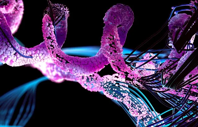A polymer chain. Credit: iStock