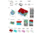 Figure 1. FIB-SEM 3D reconstruction of the human airway multiciliated epithelium