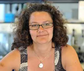 Dr Karin Hing