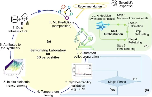 The workflow concept. Credit by: Omidvar, M., et al/Nat Commun 15, 6554 (2024)