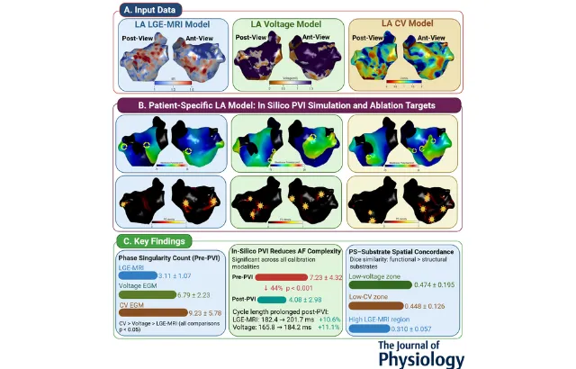Journal of Physiology graphical abstract explains how digital twins of atrial fibrillation work