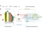 Image shows how solar power can be used to grow E Coli