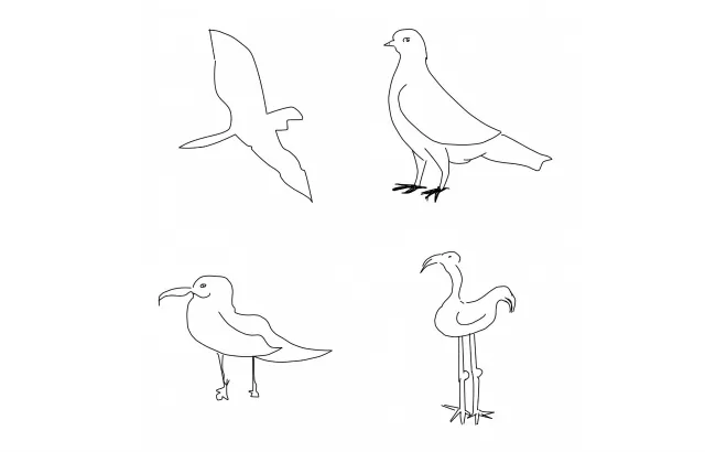 The program could successfully identify a seagull, pigeon, flying bird and standing bird better than humans (Credit: Mathias Eitz, James Hays and Marc Alexa)