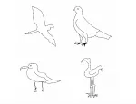 The program could successfully identify a seagull, pigeon, flying bird and standing bird better than humans (Credit: Mathias Eitz, James Hays and Marc Alexa)