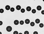 Still image of how water droplets move through a gel substrate. Credit: S. Karpitschka et al  