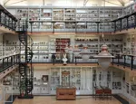 Barts Pathology Museum, West Smithfield
