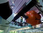 Centre of the Cell - QM's science education facility