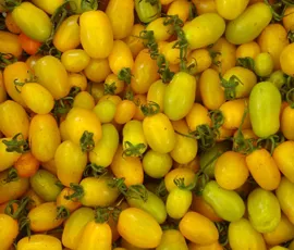 Tomatoes from Wild County Organics