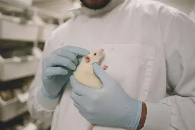 Animal research at Queen Mary 2