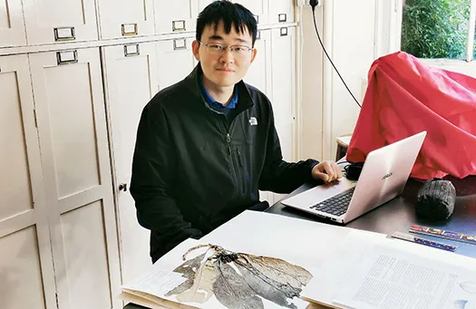 Student Discovers Fourteen New Plant Species in Borneo 