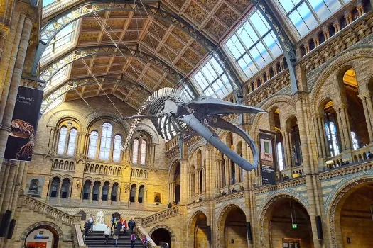 5 must-see museums