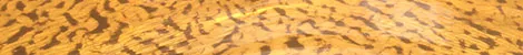 Ripples in a sandy riverbed.