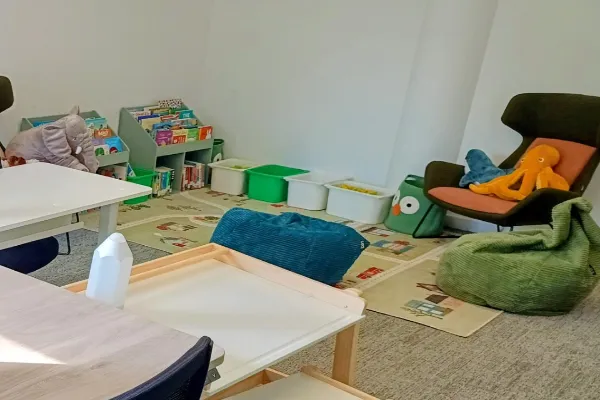Family Room Project