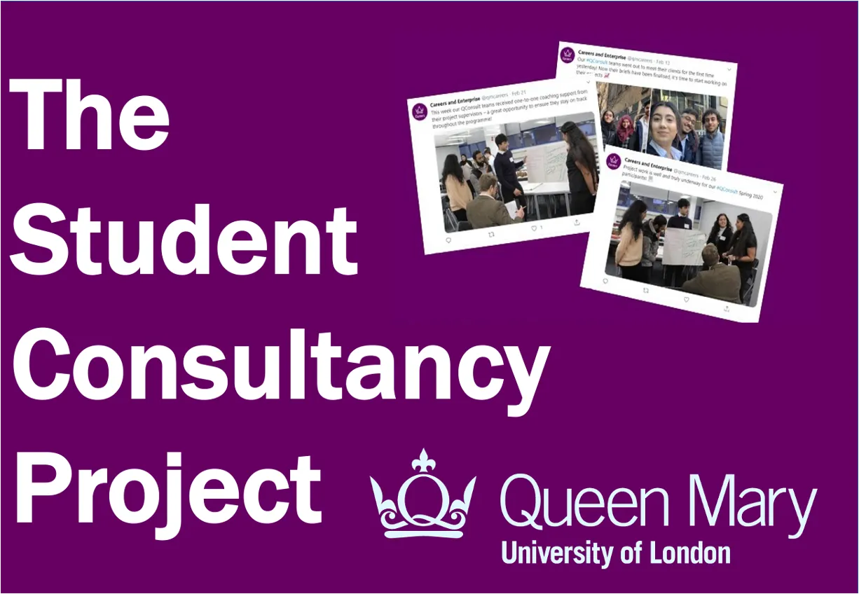 The Student Consultancy Project