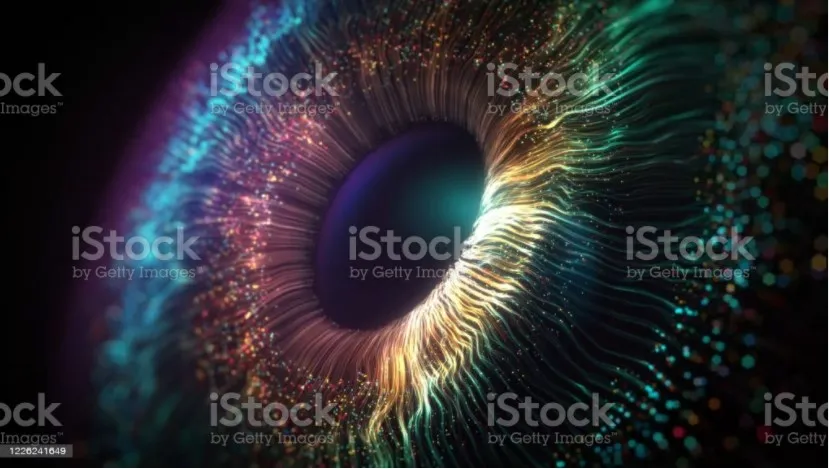 Our Vision