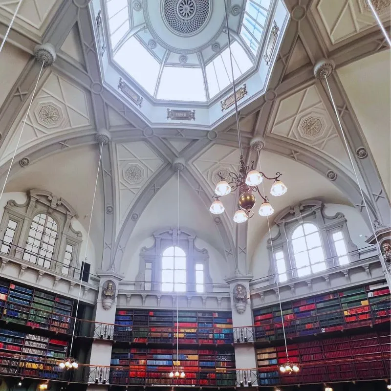 The Octagon