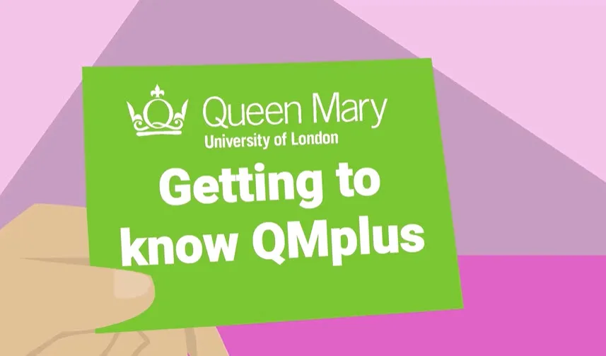 Getting to know QMplus