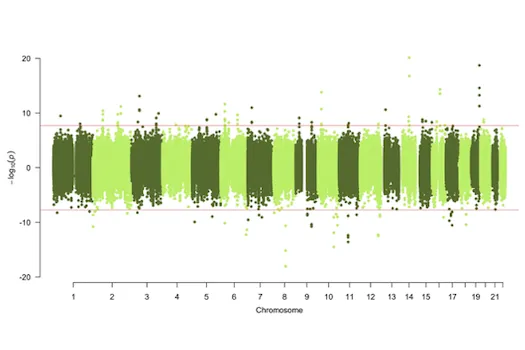 Computational and Population Epigenomics